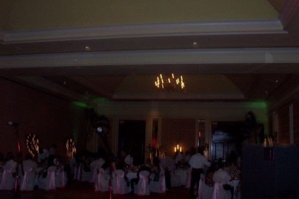 81C1450062-B8B7-EFCC-395B-F5D50A30E2DC.jpg